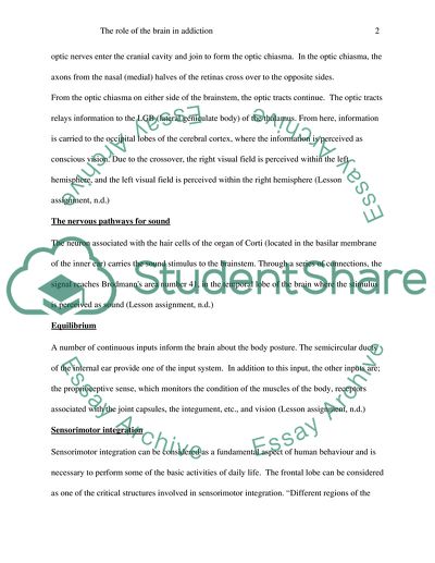 The role of the brain in addiction