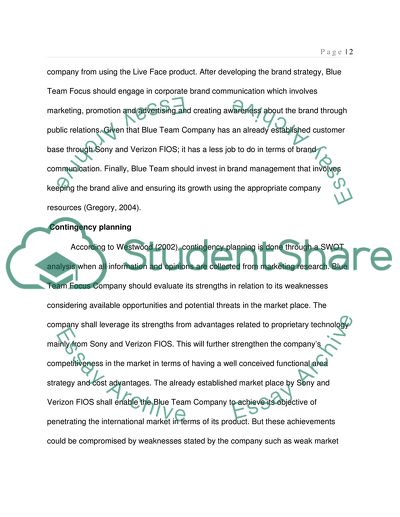 Corporate Branding Strategy for Blue Team Focus Company