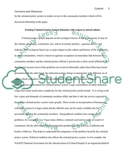Cultural Concerns and Influences, Criminal Justice System