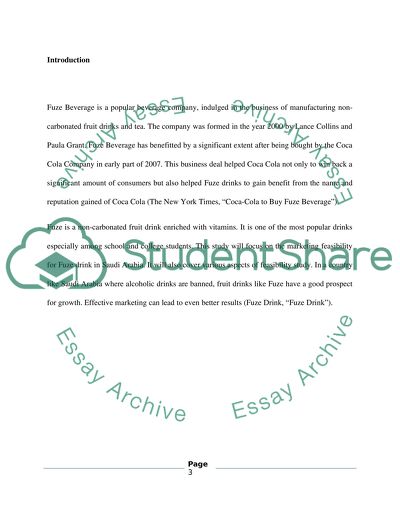 Marketing feasibilty analysis