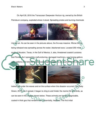 A Discussion of the BP Oil Spill