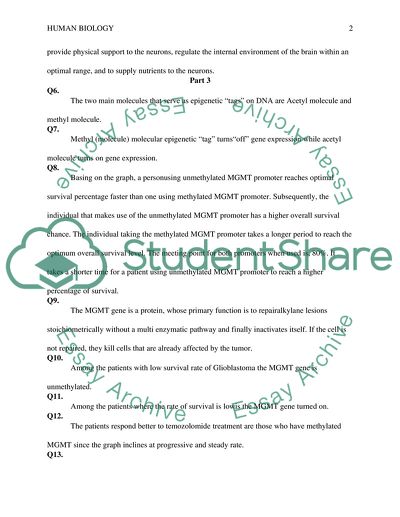 Human Biology and Genetics in Tumor Treatment