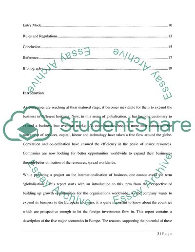 Internationalisation of Business and Promising Areas of Investment