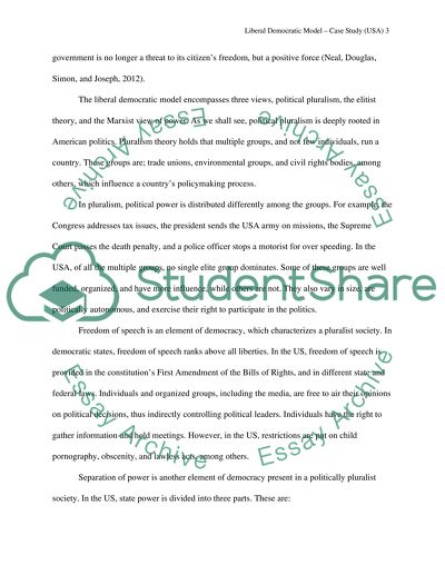 Liberal Democratic Model in the USA