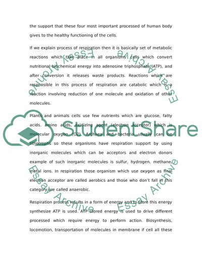 Respiration, Nutrition, Ventilation and Circulation Supporting the Functioning of Cells