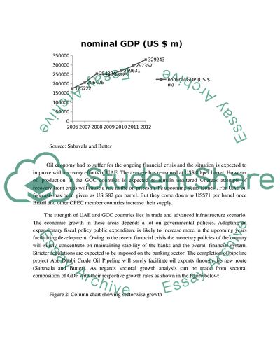 International and United Arab Emirates Economics : Case study analysis