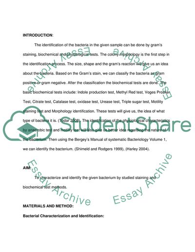 Identification of the Bacteria Pseudomonas Aeruginosa