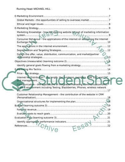 E-Marketing Environment and Strategy of Michael Hill