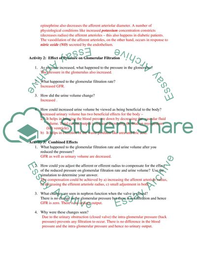 Exercise 9: Renal System Physiology Worksheet Assignment