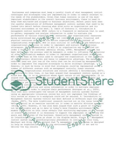 Management Control System in Use