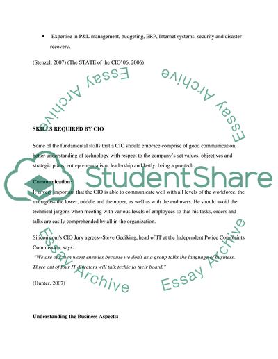 A Career Path of the Chief Information Officer
