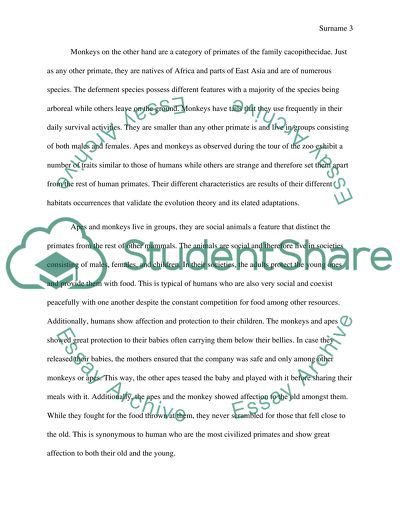 Primate Observations