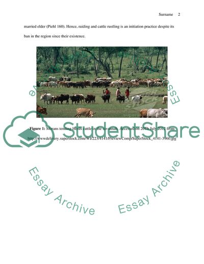 Culture Anthropology