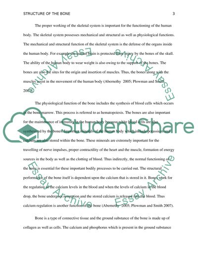 Structure of the Bone
