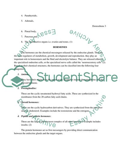 Anatomy of the Endocrine System Research Paper Example | Topics and
