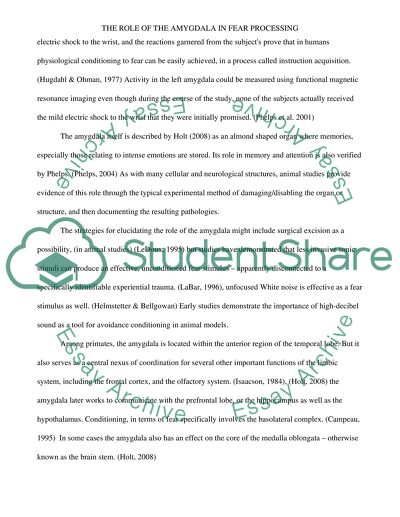 The Role of the Amygdala in Fear Processing
