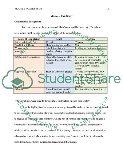 What Strategies Were Used to Differentiate Instruction