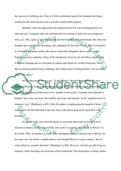 The Hybrid Status of Immigrants