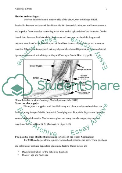 Anatomy in MRI Magnetic Resonance Imaging