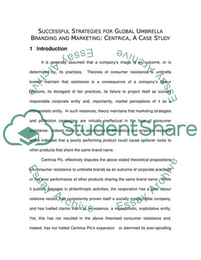 Successful Strategies for Global Umbrella Branding and Marketing - Centrica
