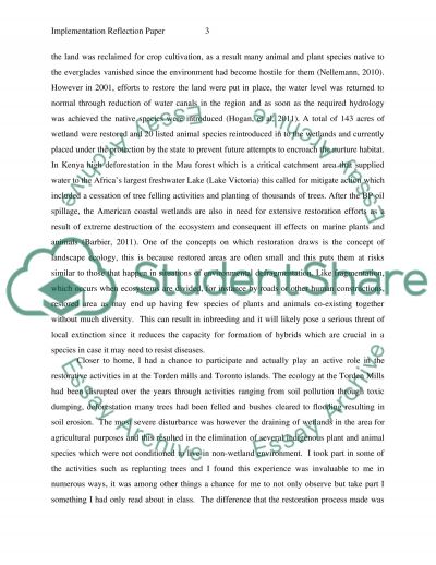 Police Essays Implementation Reflection Paper Responsibility Definition Essay also Essay About Poor People Implementation Reflection Paper Essay Example Topics And Well Essay On Drugs