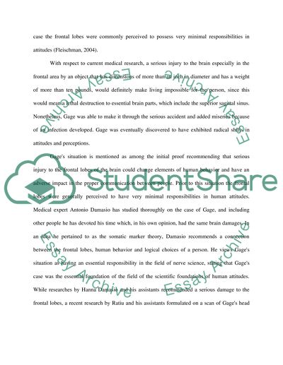 Human Cognition and the Brain