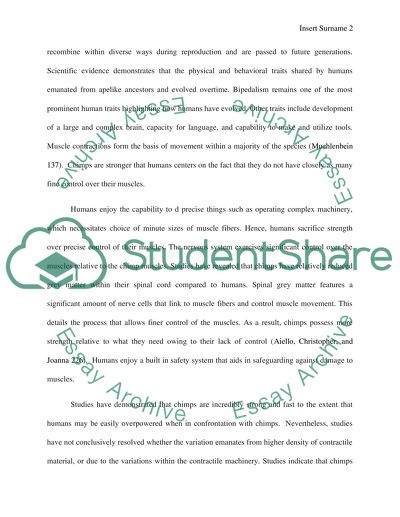 What did Evolution do to Our Muscles