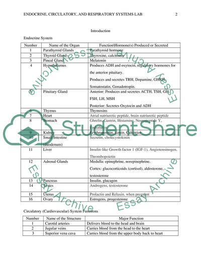 Exploring Endocrine and Respiratory Systems