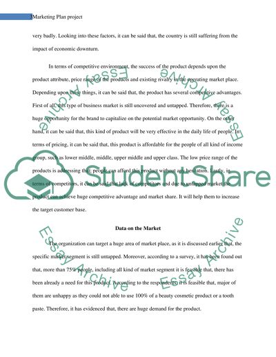 Marketing Plan Project: the Spatty and Spatty Daddy Product
