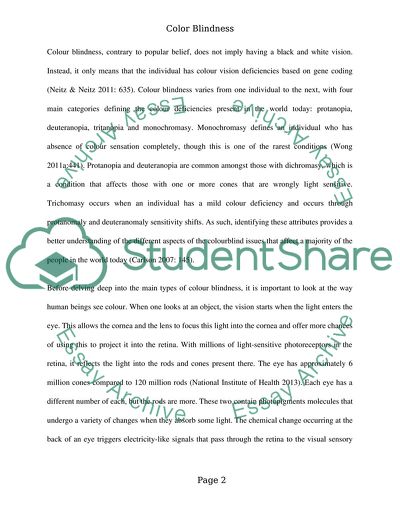 The Formation of Colour Perception in Humans, Colour Blindness and Its Main Types