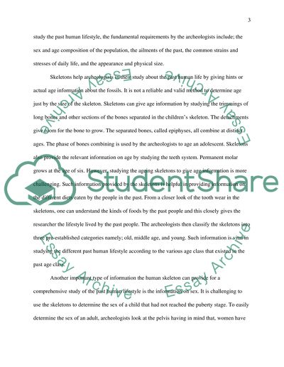 Human skeleton. What kinds of information can human skeletons give us about past lifestyles