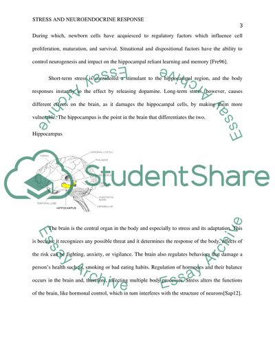 Stress and the Neuroendocrine Response