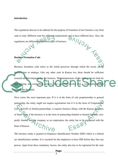 Business Entity Regulations Paper