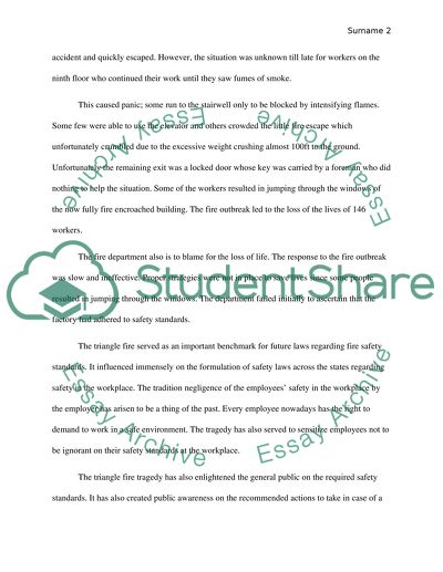 Triangle Fire Reflection Occupational Health and Safety as a Community Health Issue