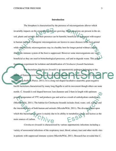 Citrobacter freundii