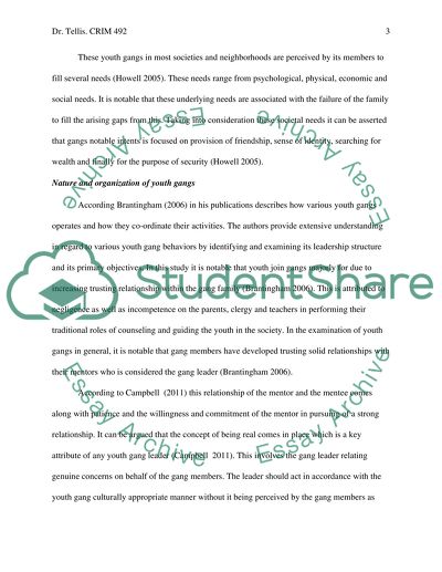 The Influence of Sociodemographic Factors on the Likelihood of Youth Entering