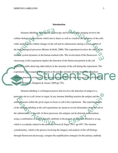 Immuno-labelling, fluorescence microscopy and live time-lapse imaging