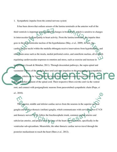 Studies on the Cardiac Nervous System