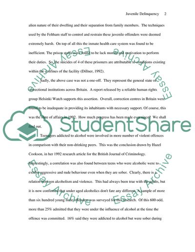 How Can the UK Correctional Institutions Help Young Criminals