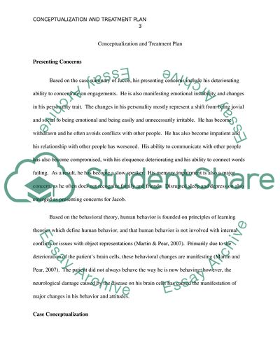 Conceptualization and Treatment Plan