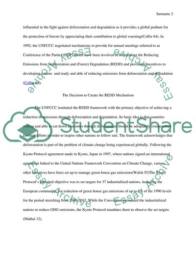 The Decision to Create the REDD Mechanism