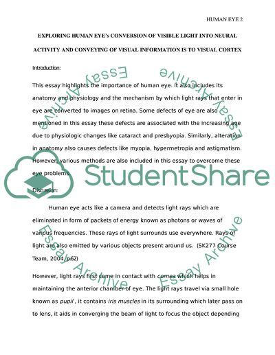 Converting Visible Light Into Neural Activity