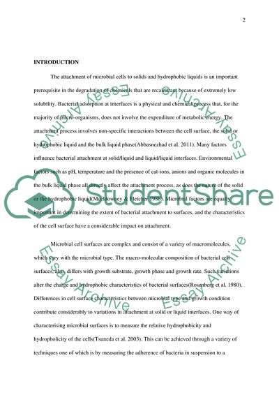 Bacterial Cell Surface Tension Attachment and Implications for Bioremediation