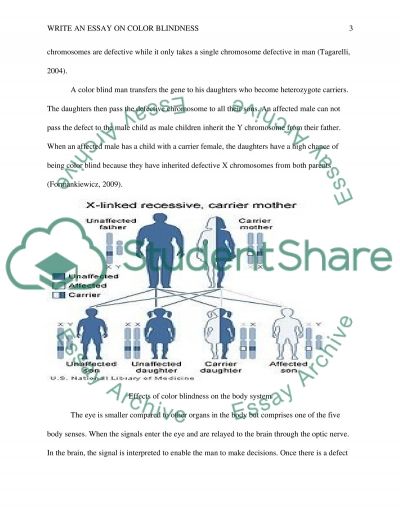 Blindness essay
