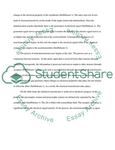 Significant Role of Neurons in the Nervous System