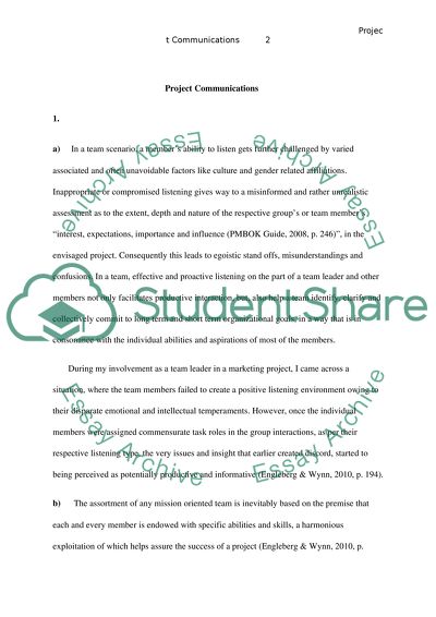 Team Leader in a Marketing Project