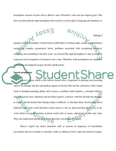 Neurobiological Aspects of Language Development in Children