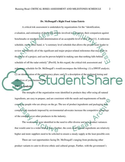 Critical Risks Assessment and Milestones Schedule