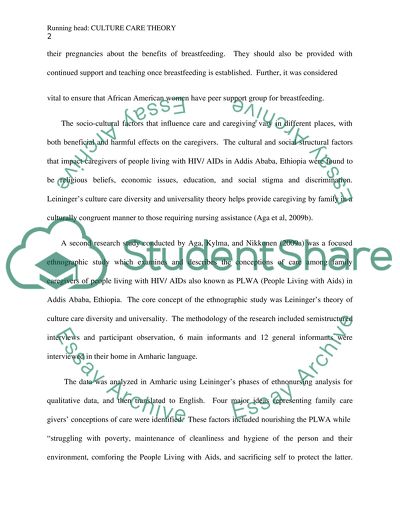 Leiningers nursing theory research article summaries