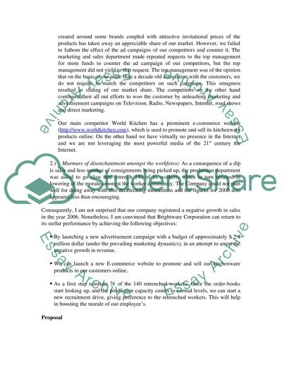 Proposal Marketing Plan for Brightware Corporation